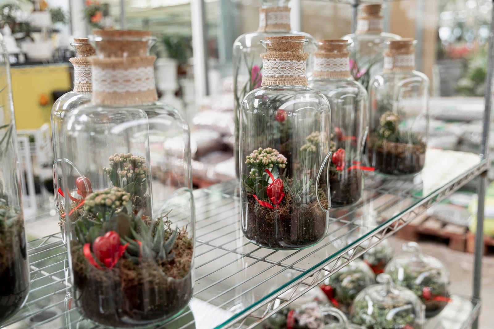 Terrário de Vidro Fechado — Médio, peça do ateliê Nano Garden