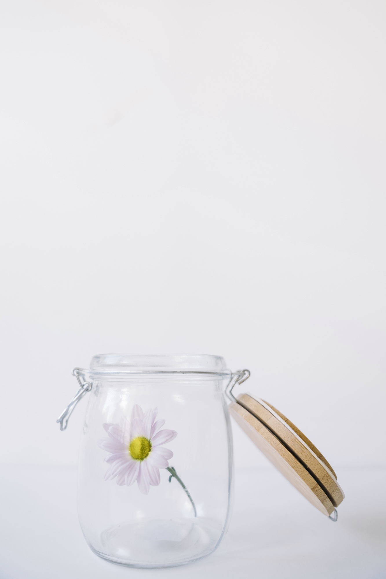 Mesa de trabalho do ateliê Nano Garden com recipientes de vidro e substrato